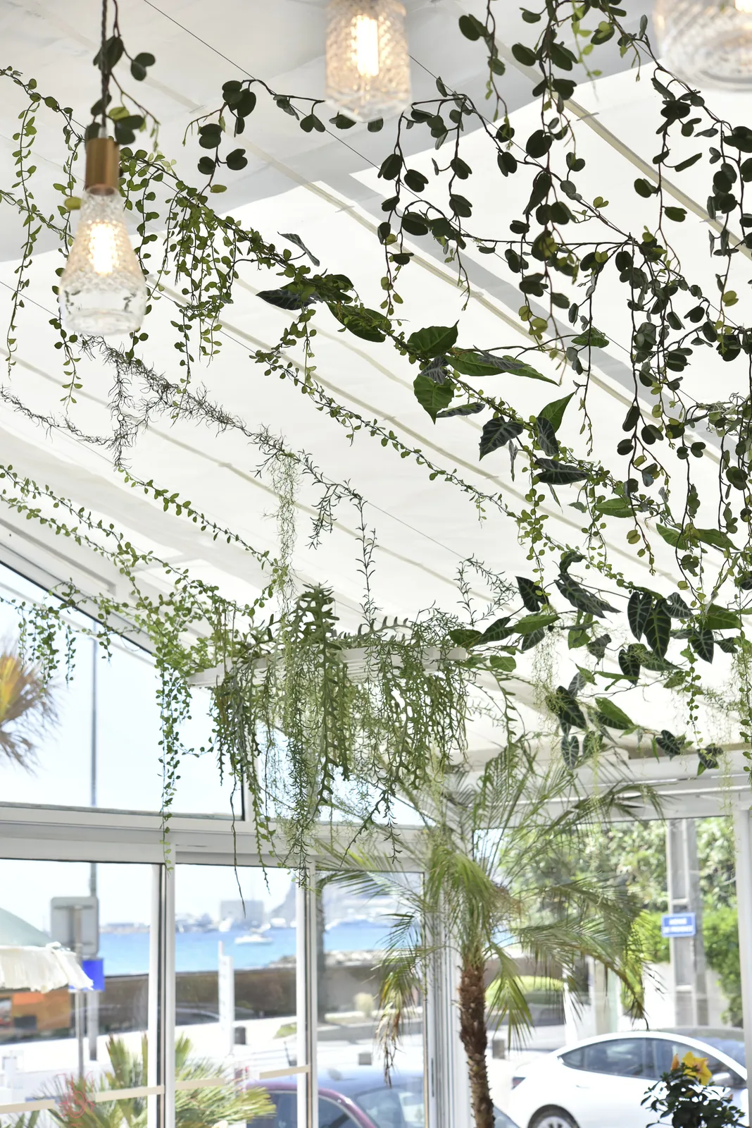 Décoration végétale intérieure de l’Hotel Rose Thé à la Ciotat près de toulon aix en provence marseille dans les bouche du rhone - L’art végétal au service de vos espaces intérieurs et extérieurs — vue 7