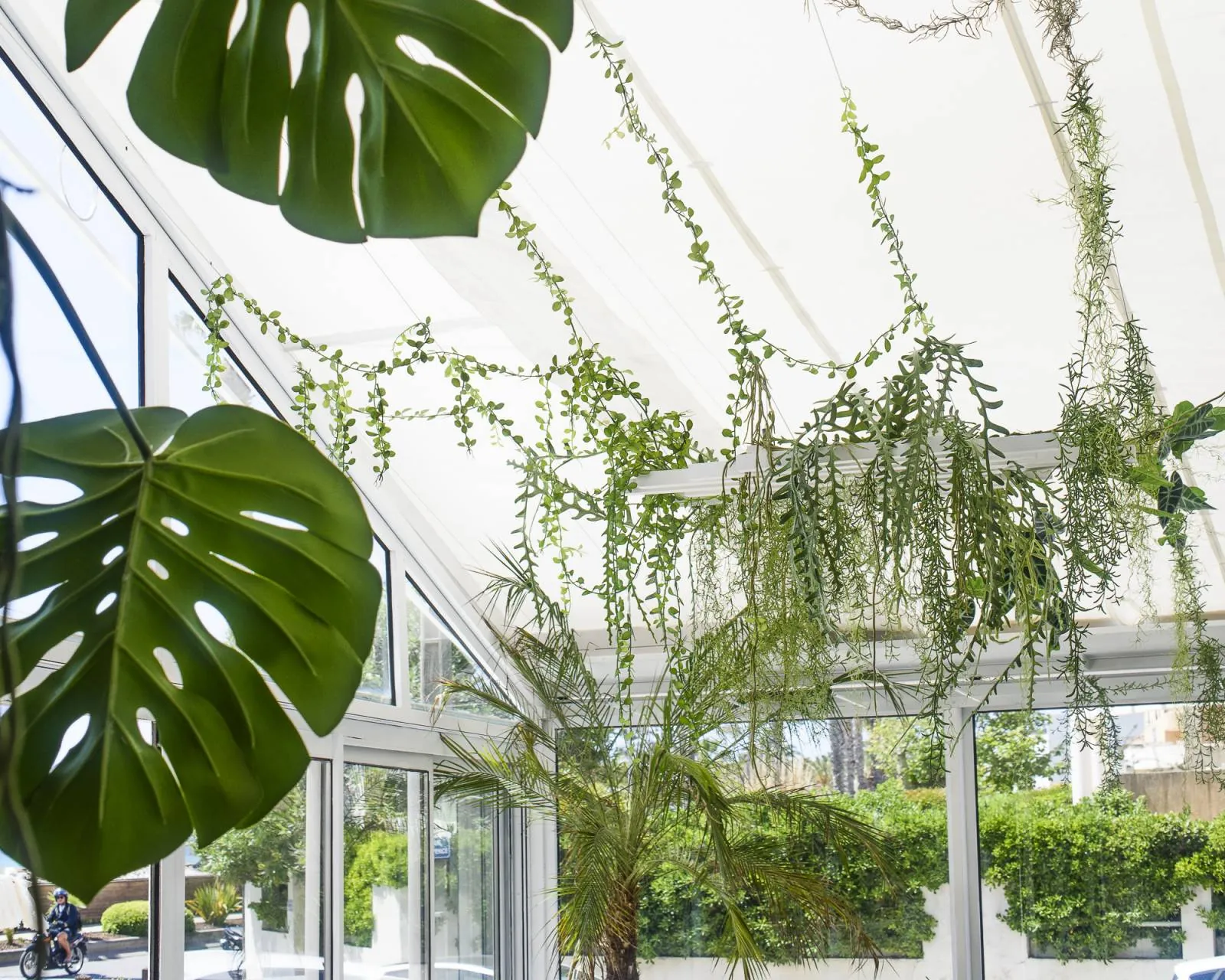 Décoration végétale intérieure de l’Hotel Rose Thé à la Ciotat près de toulon aix en provence marseille dans les bouche du rhone - L’art végétal au service de vos espaces intérieurs et extérieurs