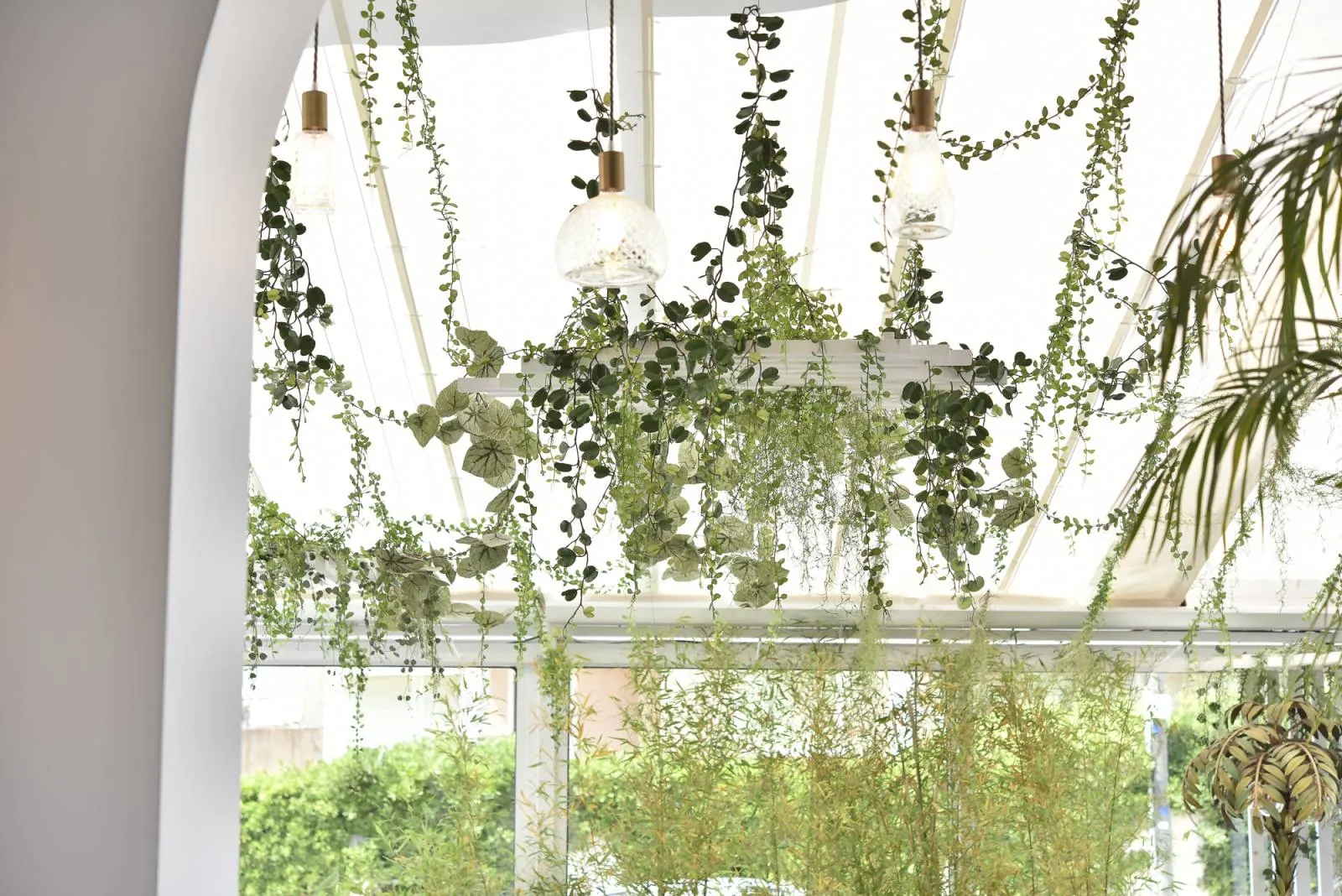 Décoration végétale intérieure de l’Hotel Rose Thé à la Ciotat près de toulon aix en provence marseille dans les bouche du rhone - L’art végétal au service de vos espaces intérieurs et extérieurs — vue 3
