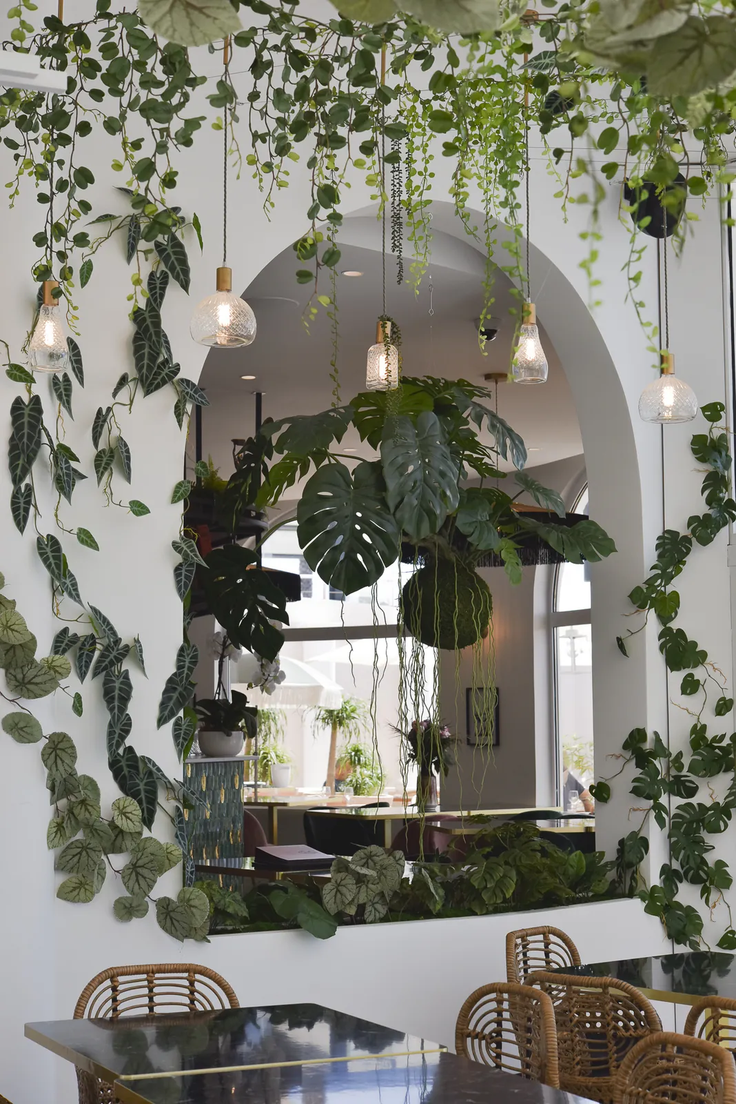 Décoration végétale intérieure de l’Hotel Rose Thé à la Ciotat près de toulon aix en provence marseille dans les bouche du rhone - L’art végétal au service de vos espaces intérieurs et extérieurs — vue 8