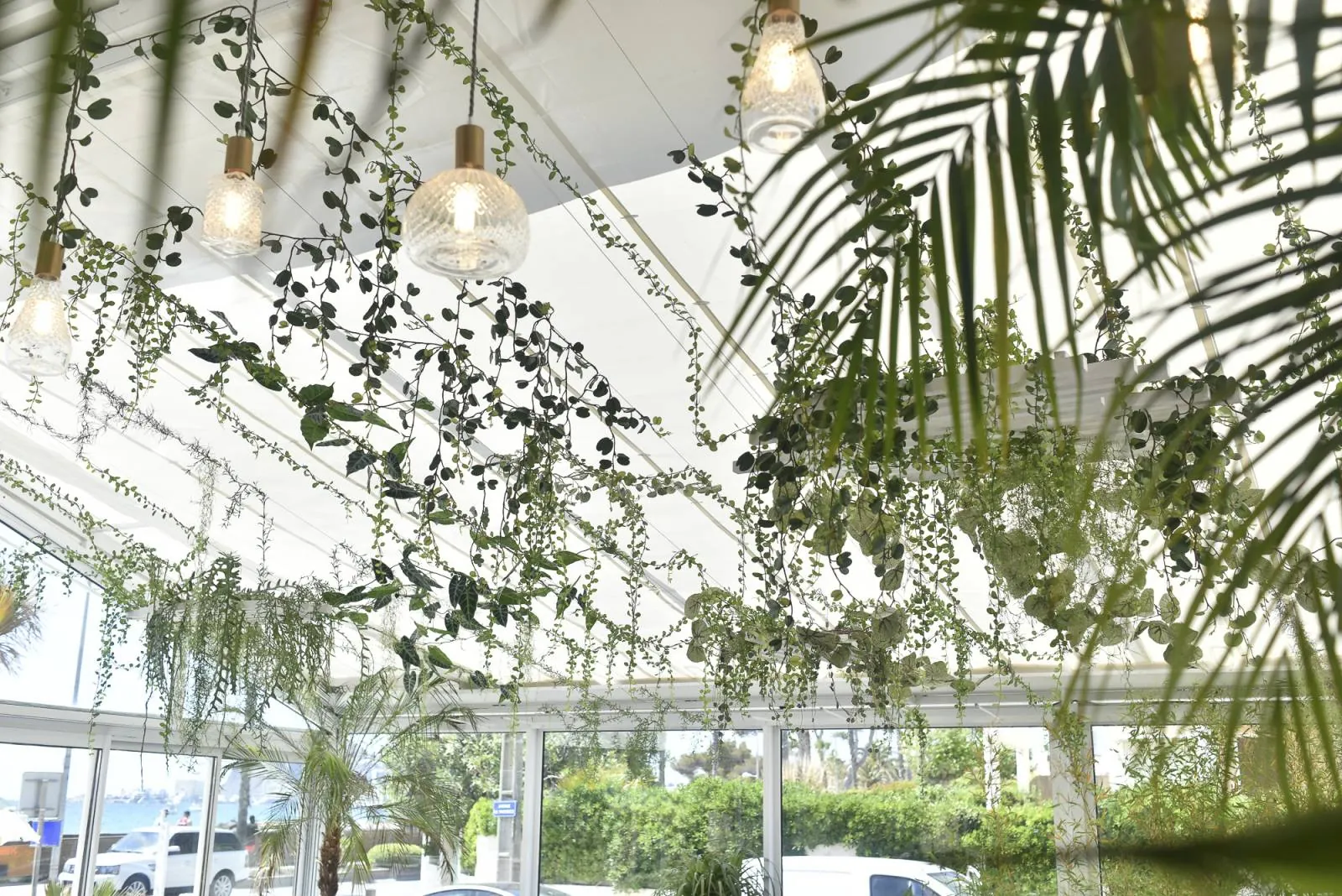 Décoration végétale intérieure de l’Hotel Rose Thé à la Ciotat près de toulon aix en provence marseille dans les bouche du rhone - L’art végétal au service de vos espaces intérieurs et extérieurs — vue 6