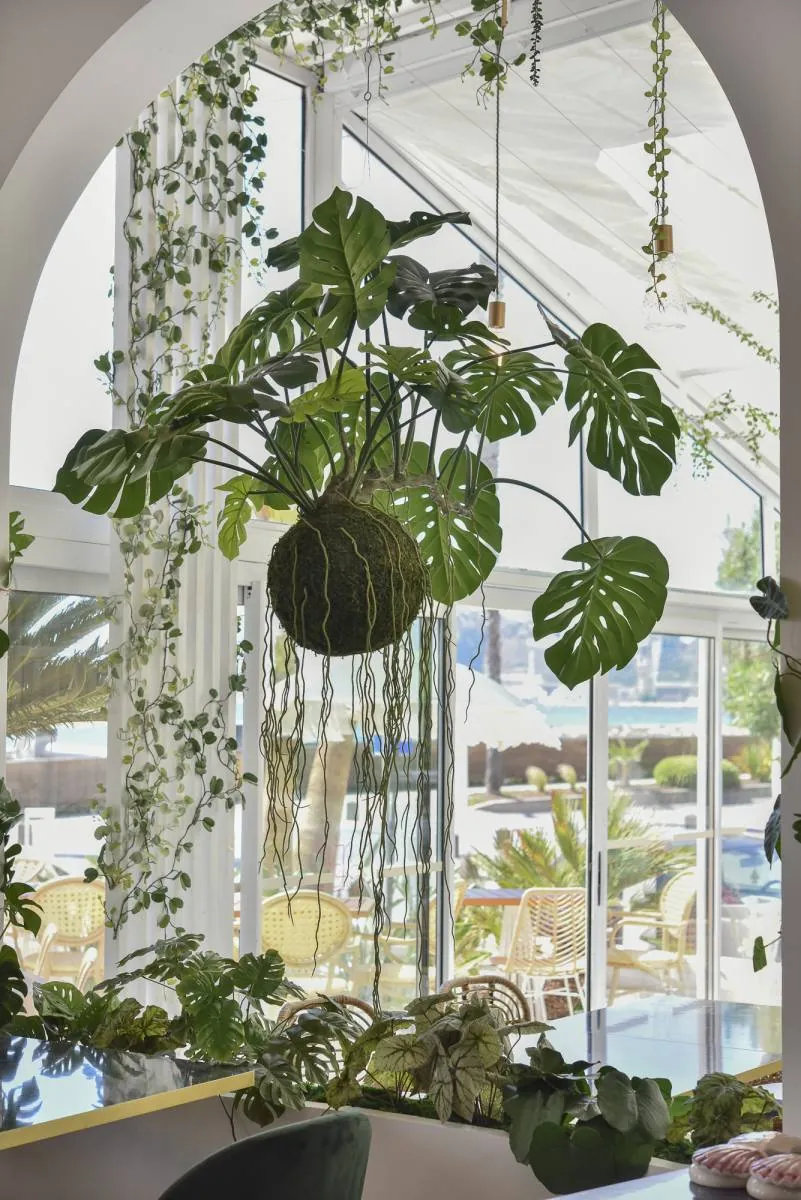 Décoration végétale intérieure de l’Hotel Rose Thé à la Ciotat près de toulon aix en provence marseille dans les bouche du rhone - L’art végétal au service de vos espaces intérieurs et extérieurs — vue 4