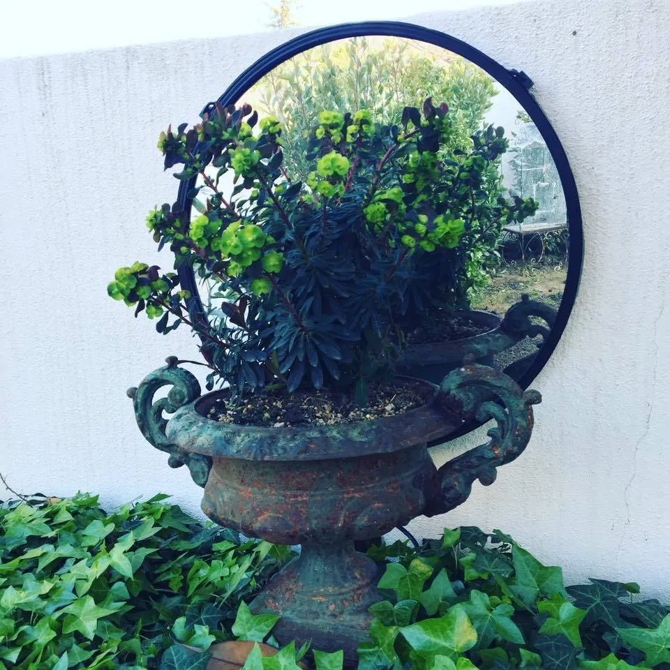 « Le jardin de princesse » création originale et aménagement de la terrasse extérieure au coeur de Marseille - L’art végétal au service de vos espaces intérieurs et extérieurs — vue 4