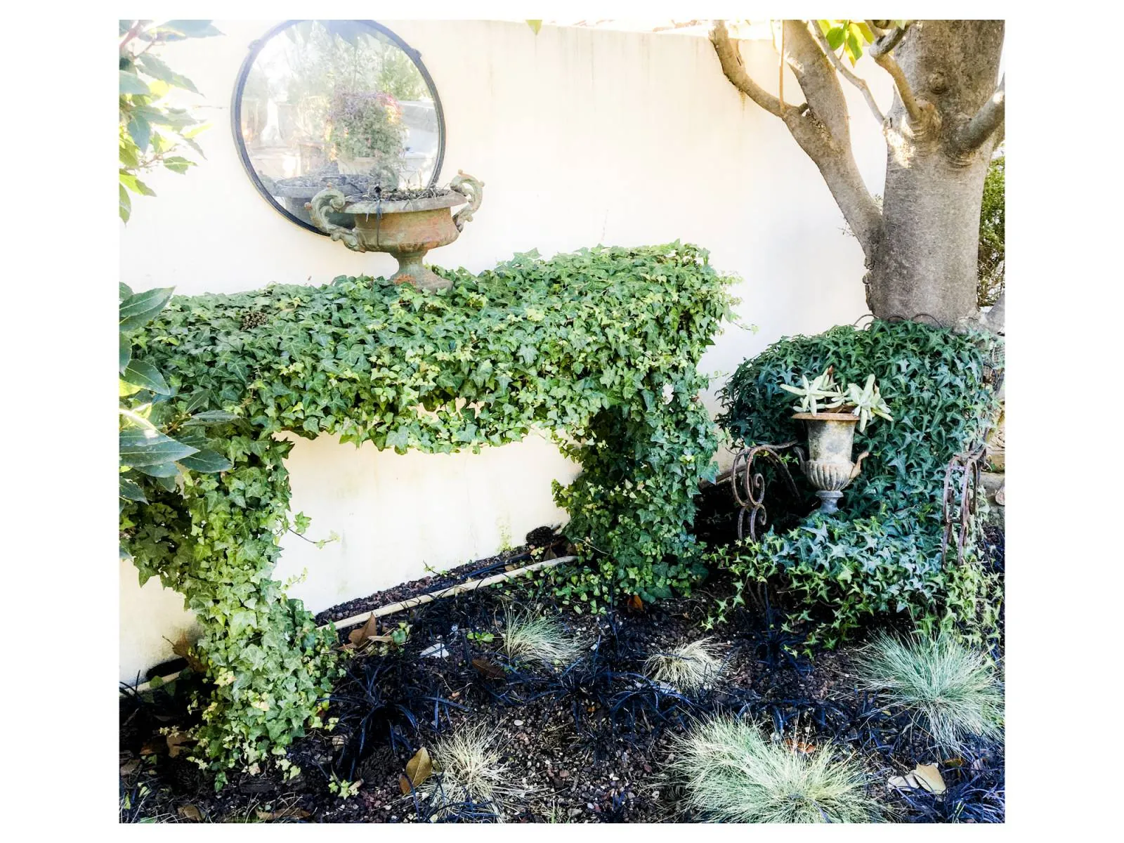 « Le jardin de princesse » création originale et aménagement de la terrasse extérieure au coeur de Marseille - L’art végétal au service de vos espaces intérieurs et extérieurs — vue 2