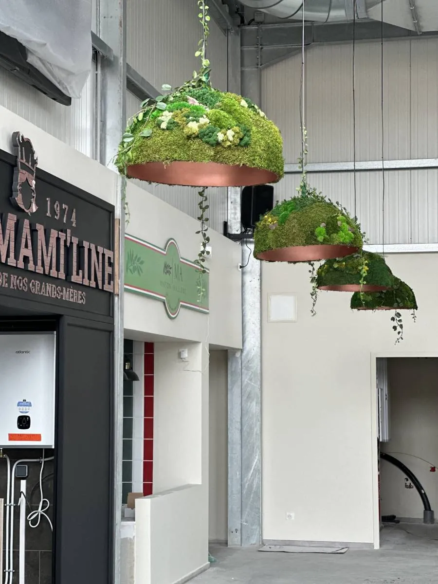 Luminaire végétal - L’art végétal au service de vos espaces intérieurs et extérieurs