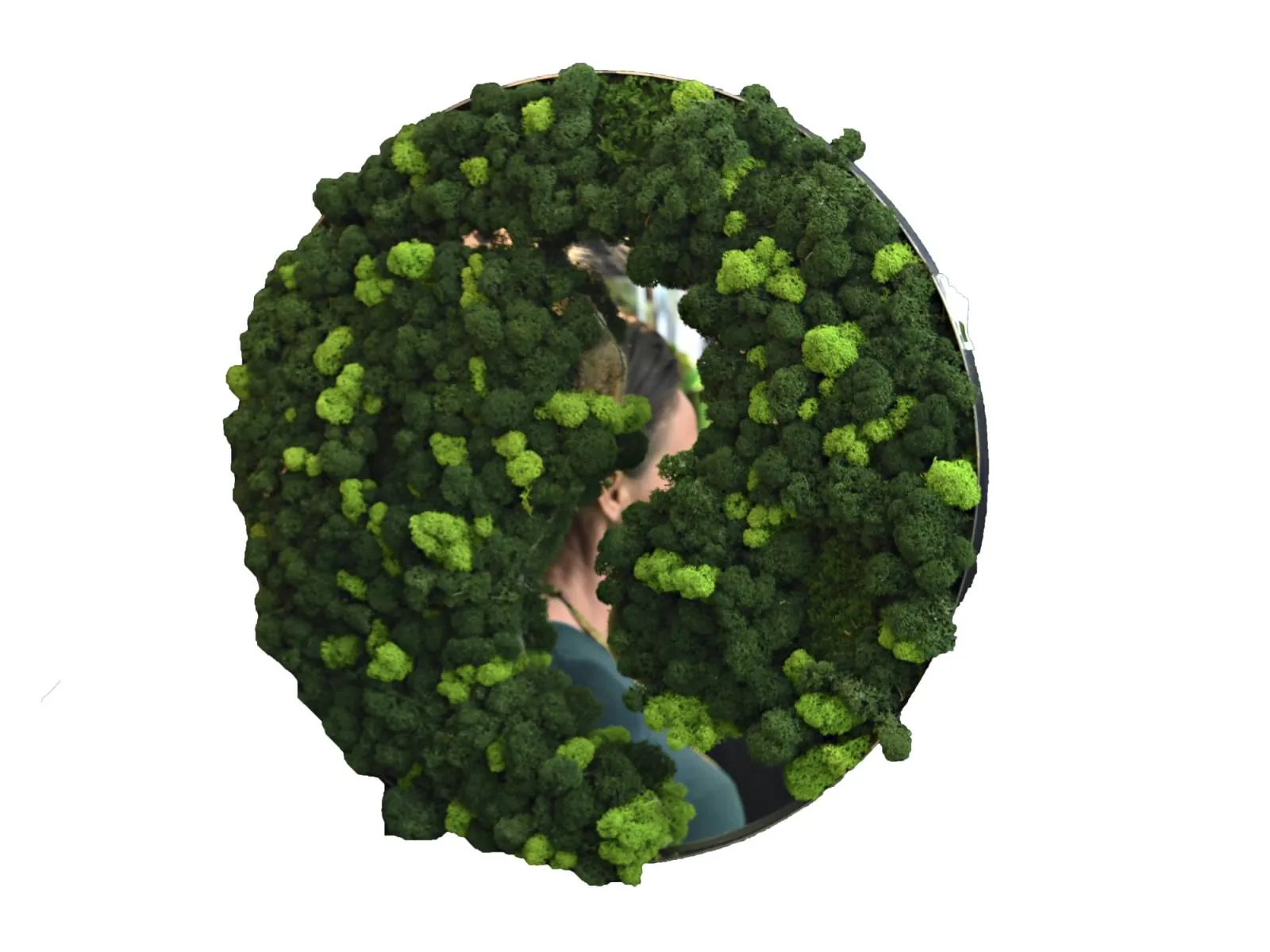 Miroir végétal - L’art végétal au service de vos espaces intérieurs et extérieurs
