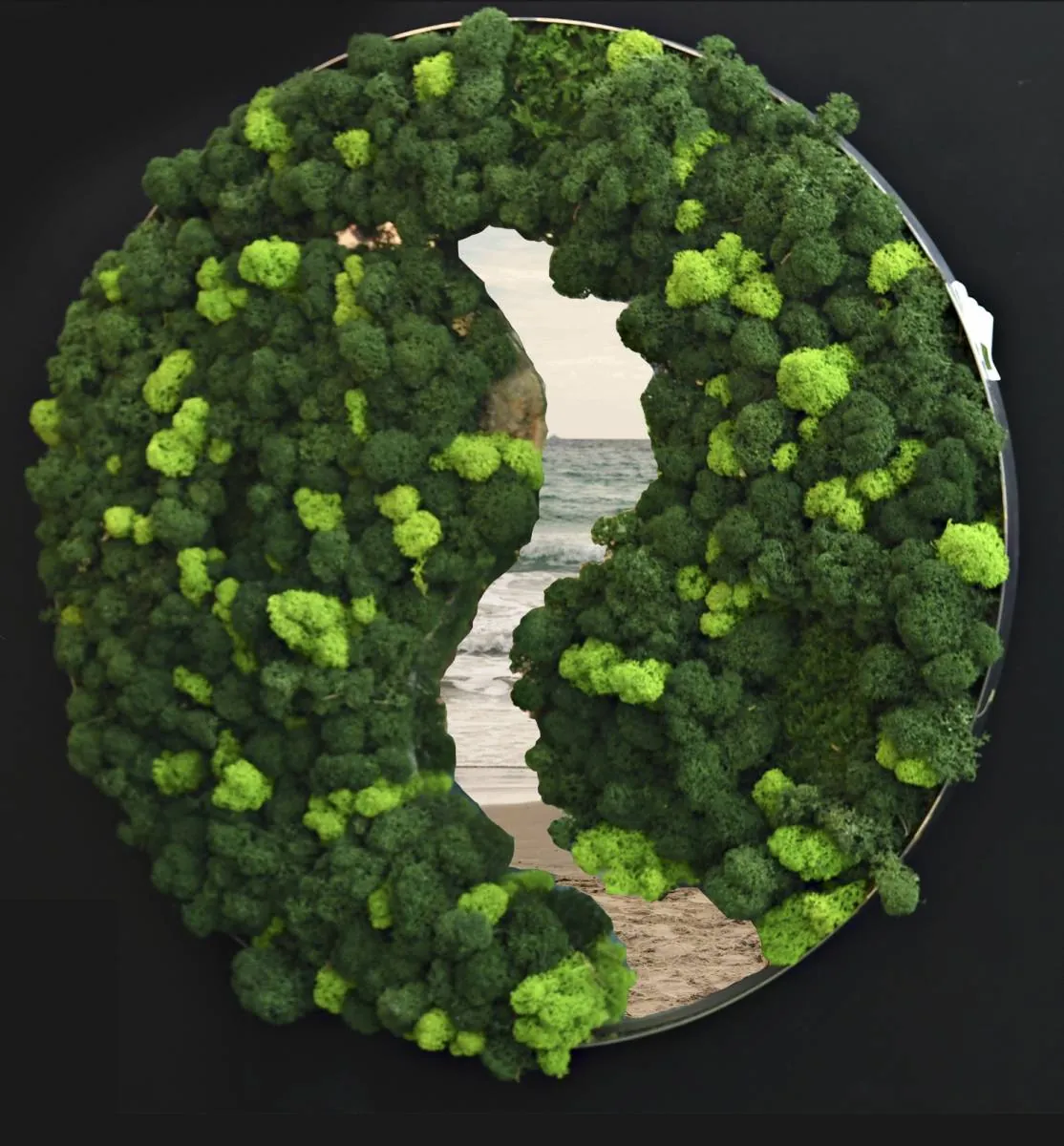 Miroir végétal - L’art végétal au service de vos espaces intérieurs et extérieurs — vue 4