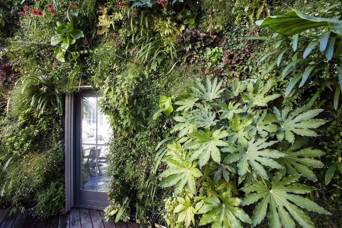 Mur végétal en extérieur pour la terrasse du restaurant de l’Hôtel Byblos à Saint-Tropez — vue 3