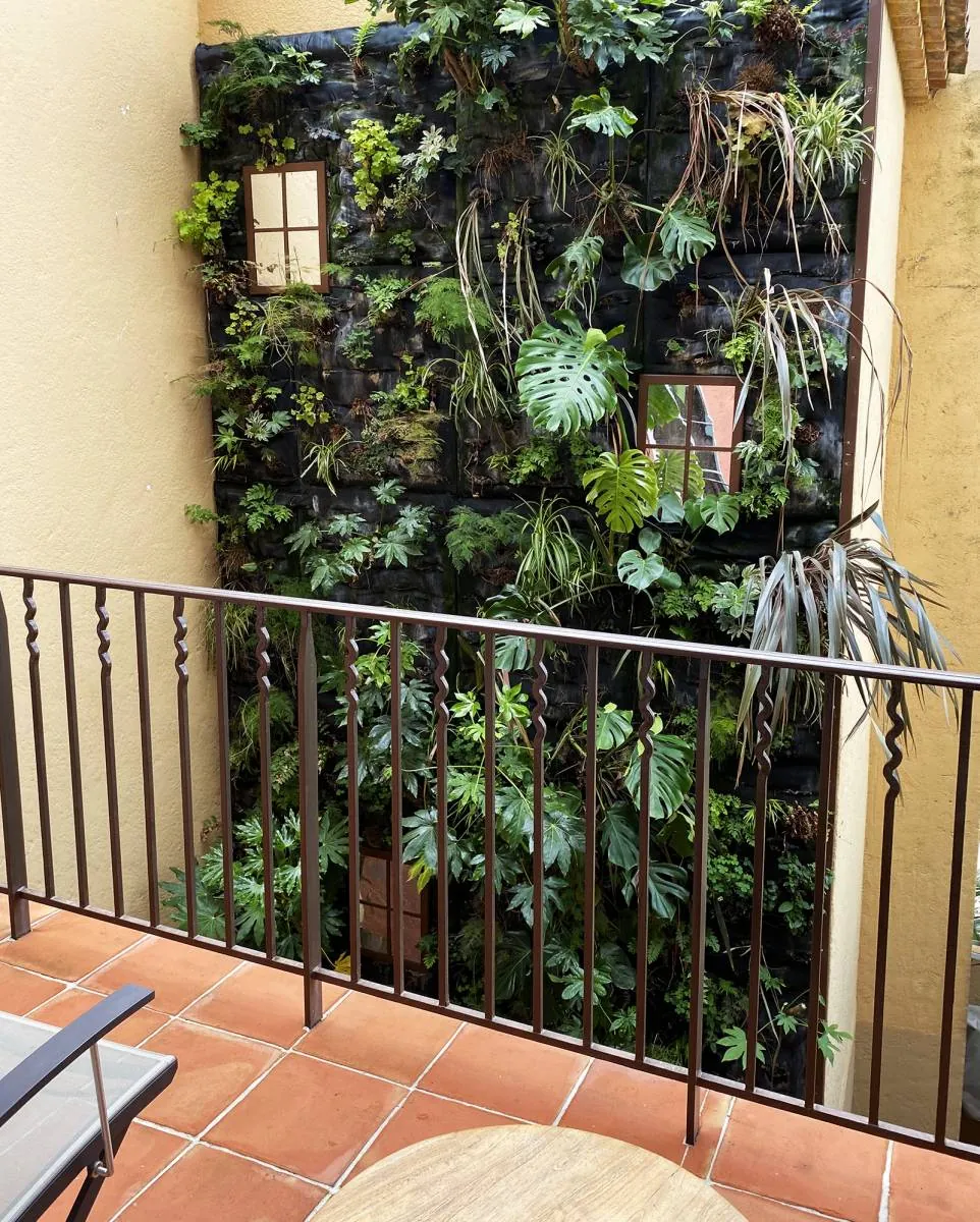 Mur végétal en extérieur pour la terrasse du restaurant de l’Hôtel Byblos à Saint-Tropez — vue 5