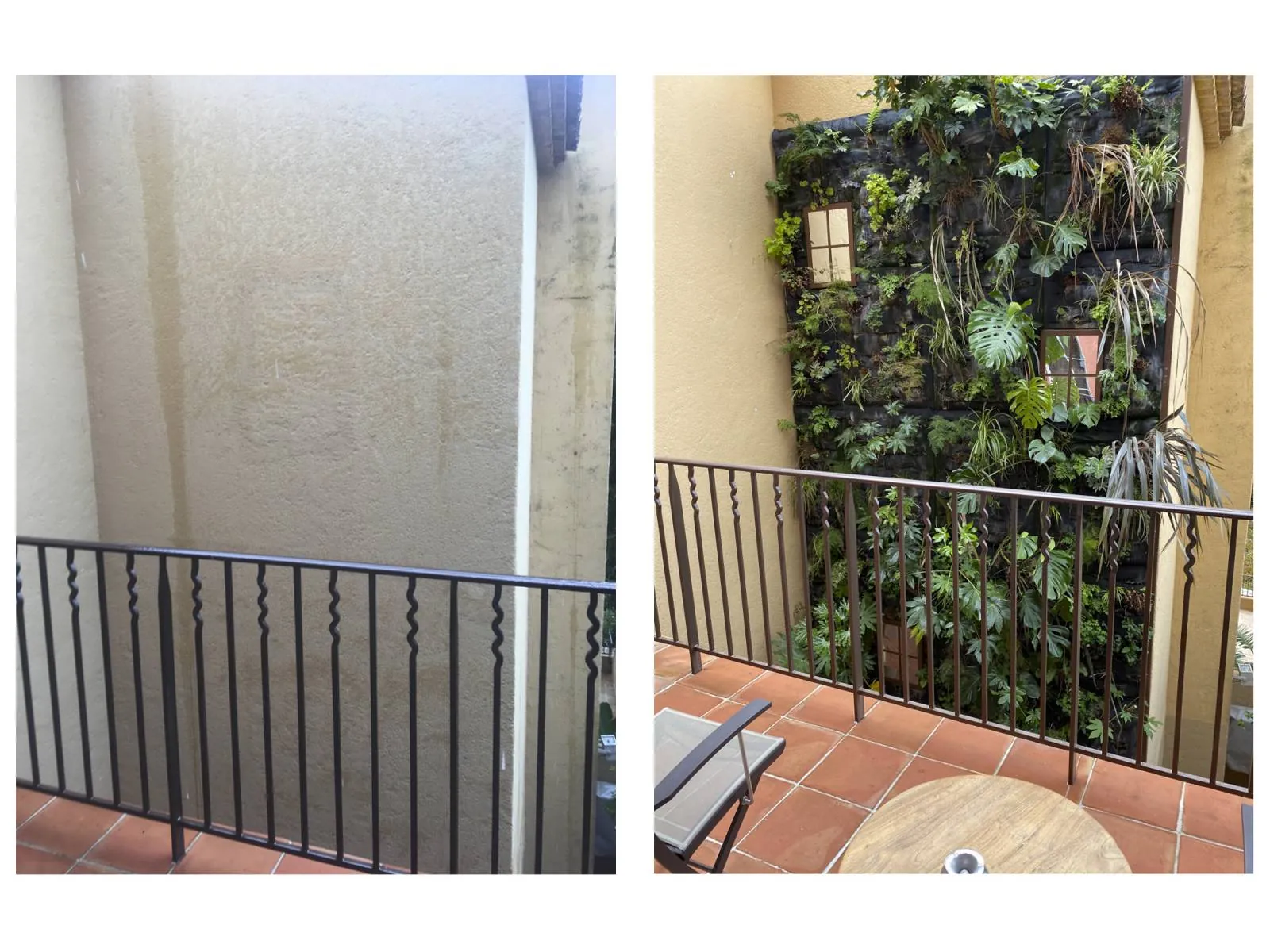Mur végétal en extérieur pour la terrasse du restaurant de l’Hôtel Byblos à Saint-Tropez