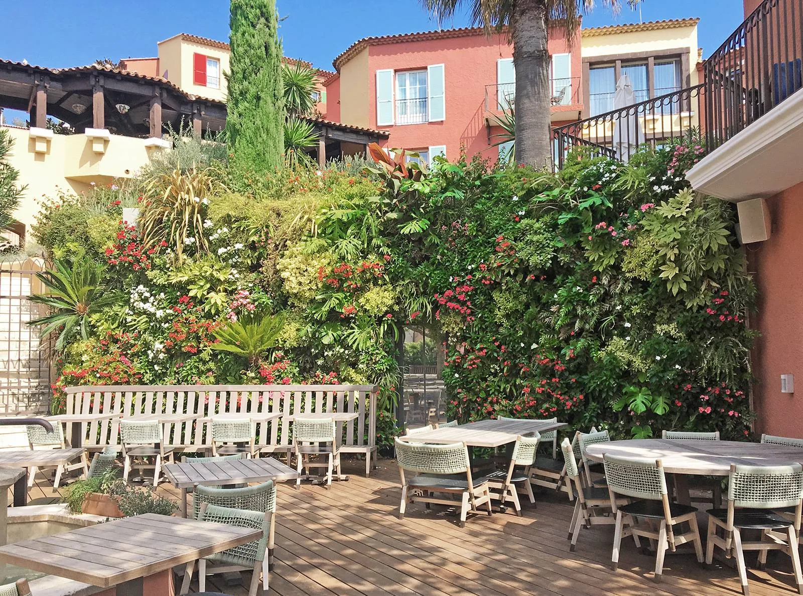 Mur végétal en extérieur pour la terrasse du restaurant de l’Hôtel Byblos à Saint-Tropez — vue 6