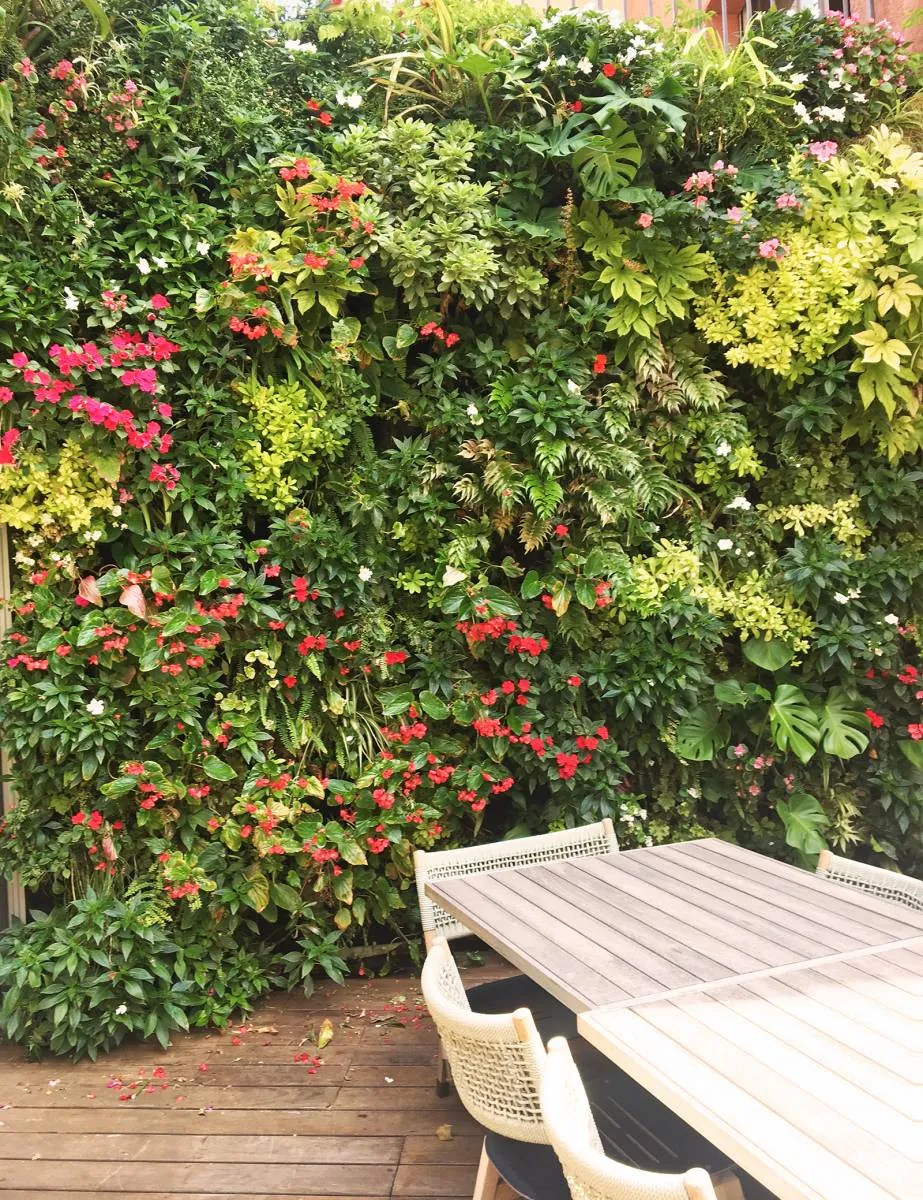 Mur végétal en extérieur pour la terrasse du restaurant de l’Hôtel Byblos à Saint-Tropez — vue 7