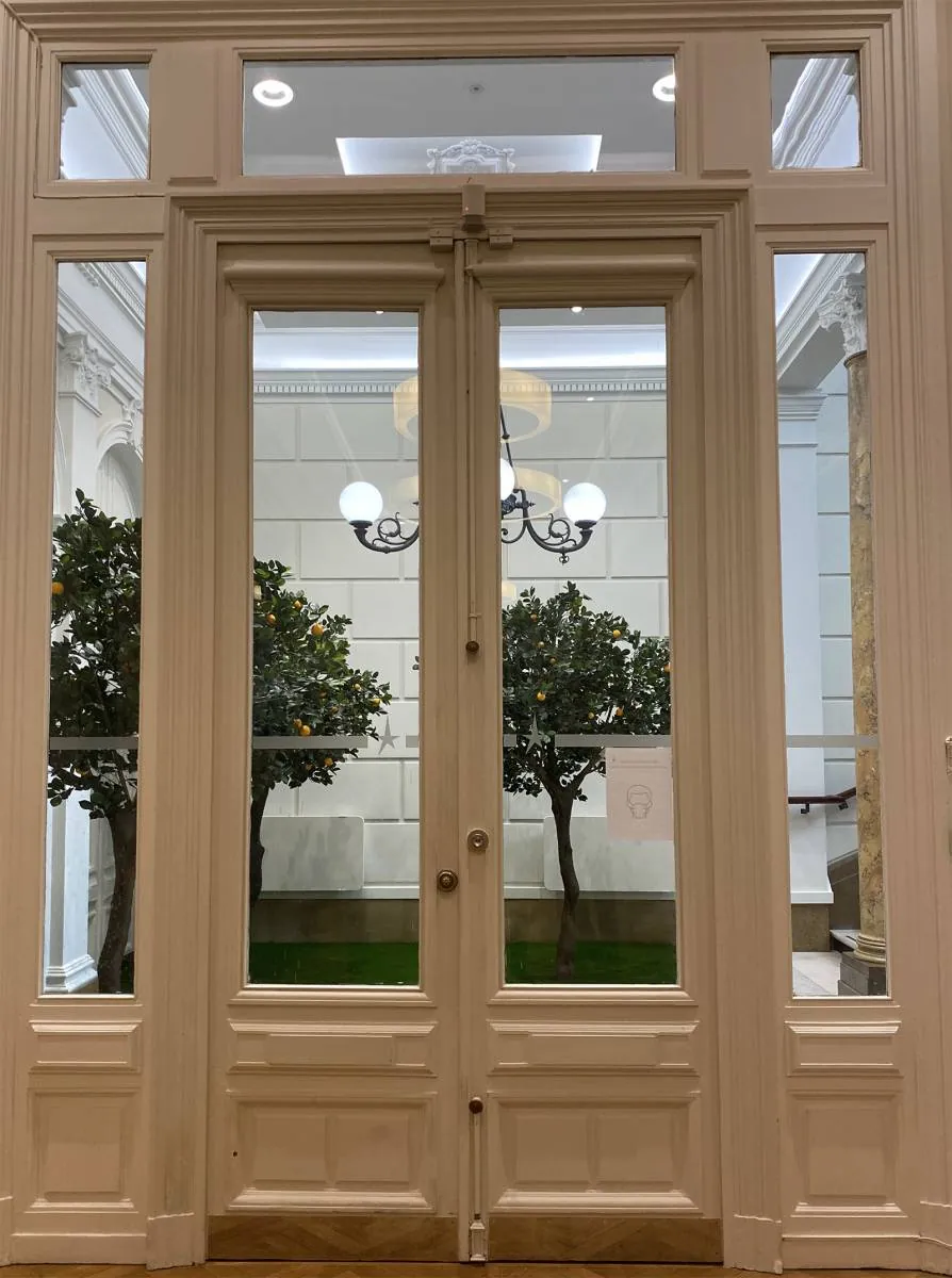 Scénographie végétale en jardin d’intérieur avec en décoration des arbres oranger à la société Marseillaise de crédit à Marseille - L’art végétal au service de vos espaces intérieurs et extérieurs — vue 4