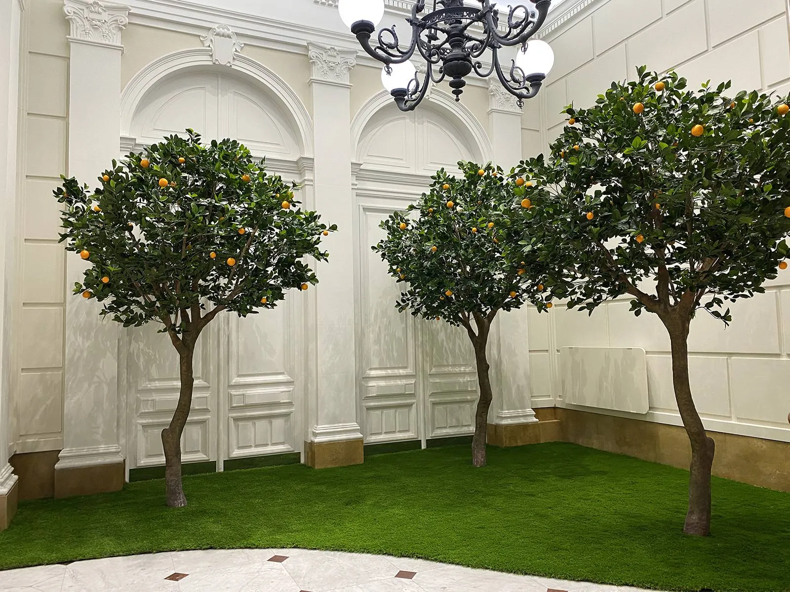 Scénographie végétale en jardin d’intérieur avec en décoration des arbres oranger à la société Marseillaise de crédit à Marseille - L’art végétal au service de vos espaces intérieurs et extérieurs
