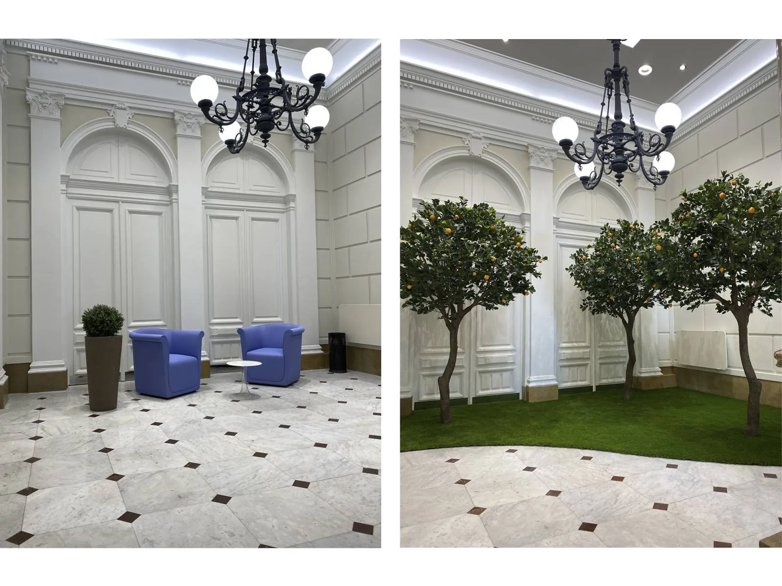 Scénographie végétale en jardin d’intérieur avec en décoration des arbres oranger à la société Marseillaise de crédit à Marseille - L’art végétal au service de vos espaces intérieurs et extérieurs — vue 5