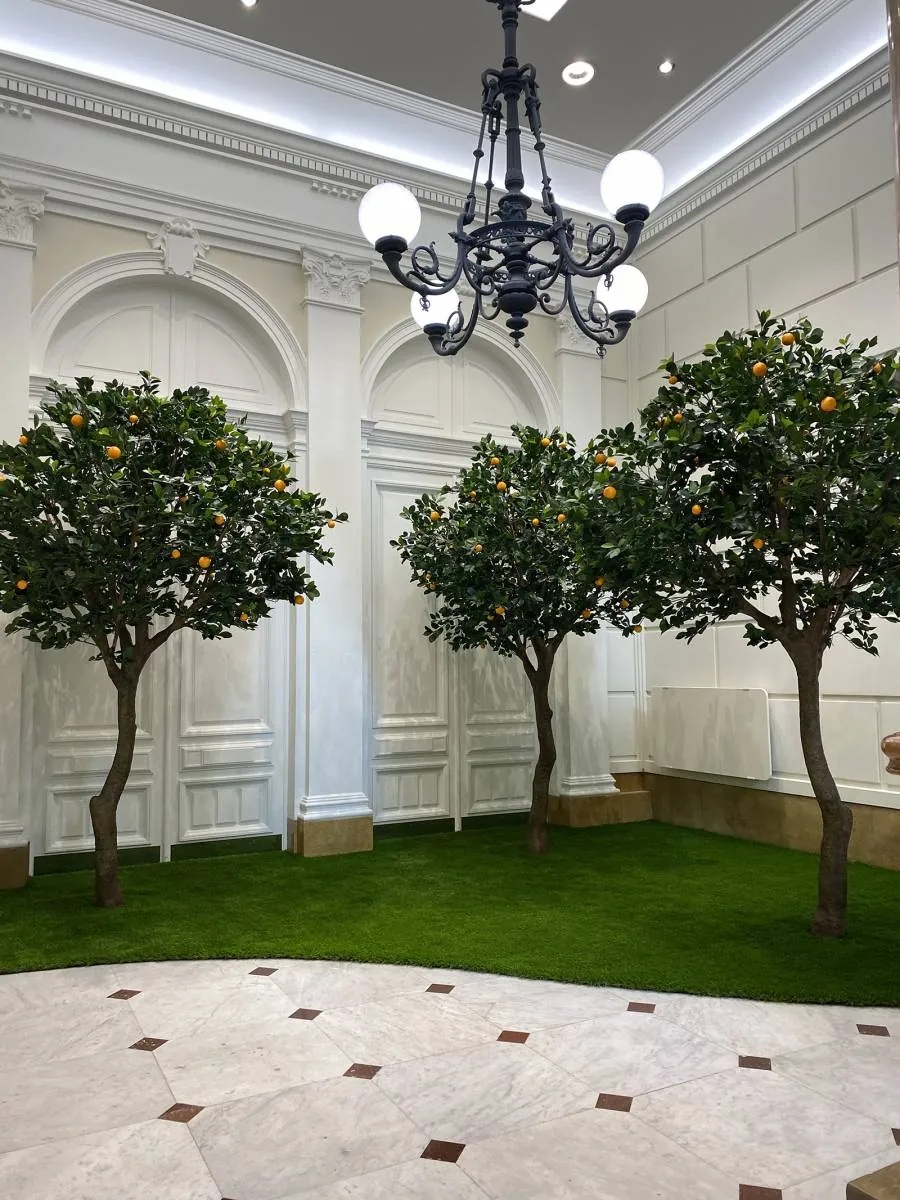 Scénographie végétale en jardin d’intérieur avec en décoration des arbres oranger à la société Marseillaise de crédit à Marseille - L’art végétal au service de vos espaces intérieurs et extérieurs — vue 2